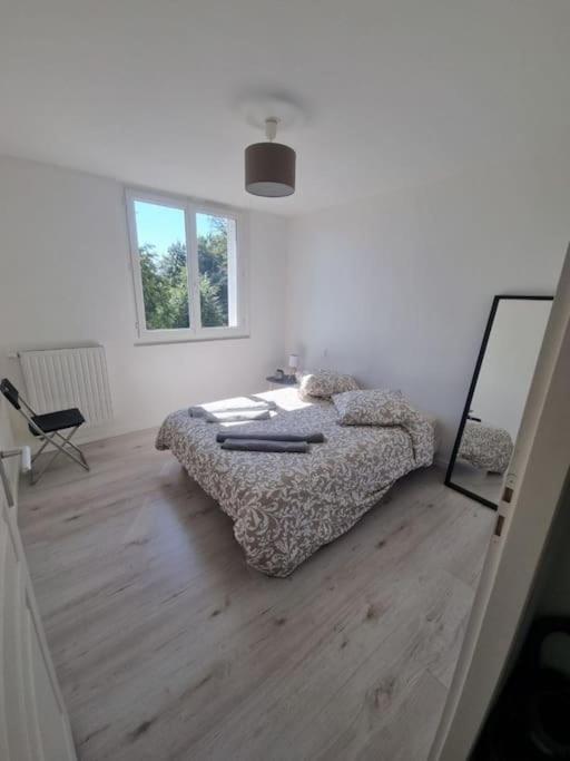 Appartement T3 Centre *